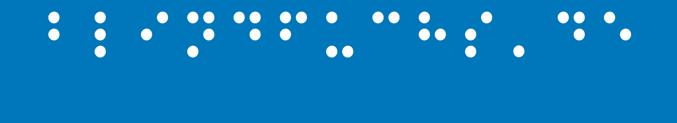Blindfuchs.de Logo in Brailleschrift